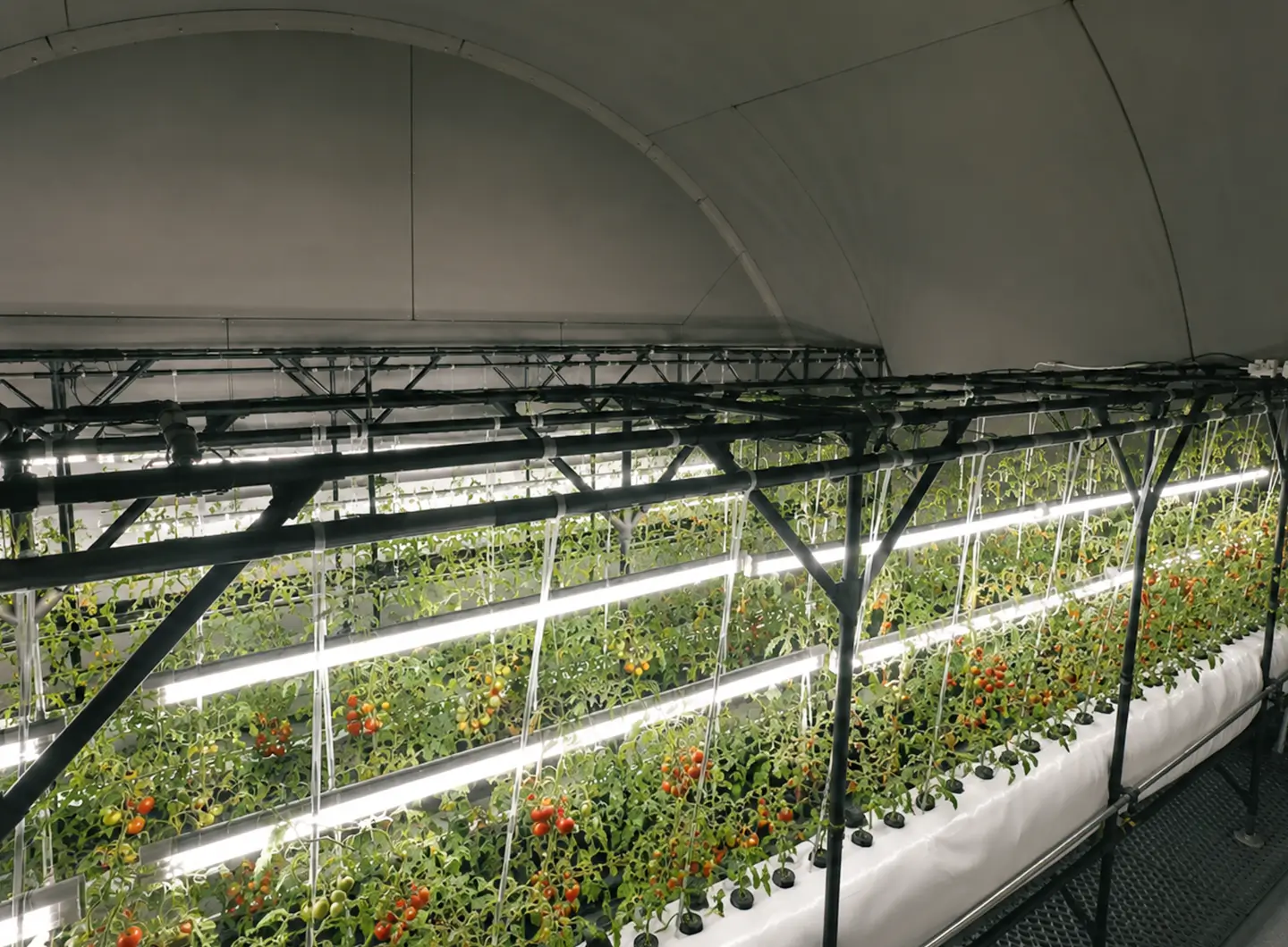 閉鎖環境型植物栽培実験ブース