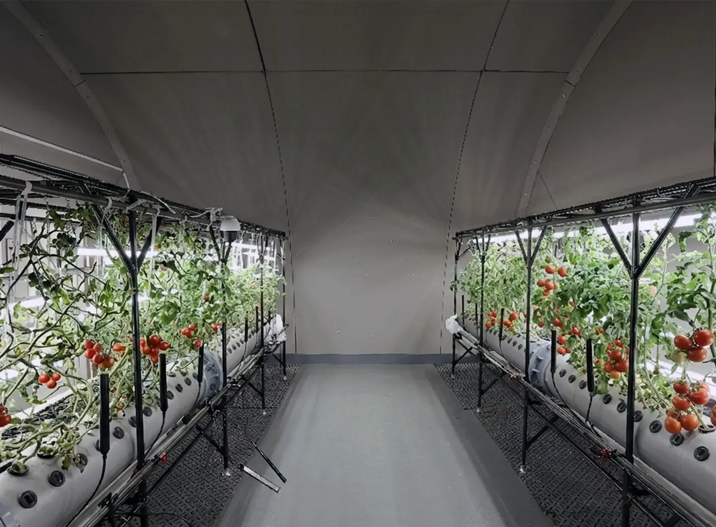 閉鎖環境型植物栽培実験ブース
